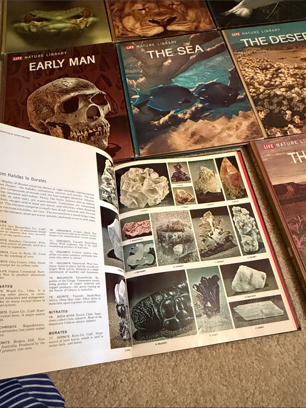 A Guide To Thr Natural World 18 books 📕